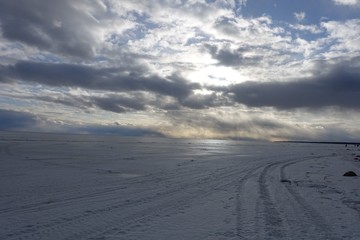 Awakening of nature. It's spring. Gulf of Finland.