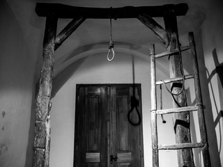 View on a gallows tree