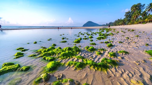 4K, Time lapse view of the sea and Seaweed and sunrise with dramatic cloudscape  in Chumphon Thailand