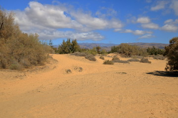 Aerial view of the Maspalomas dunes on Gran Canaria island.
