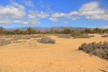 Aerial view of the Maspalomas dunes on Gran Canaria island.