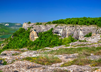 Beautiful summer landscape with fresh green forest and blue sky - panoramic view