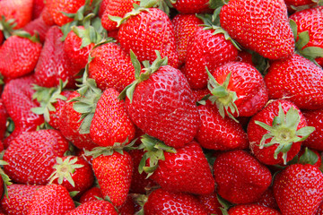 strawberries on a black background
