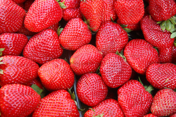 pile of strawberries