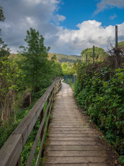 Fototapeta na wymiar walking through nature on a wooden path