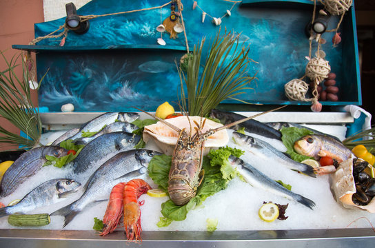 Still life of fresh fish in Rethymno in Crete (Greece). Seafood on ice: octobus, snails, crabs, shrimp, fish etc