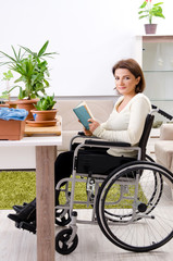 Woman in wheelchair cultivating houseplants  
