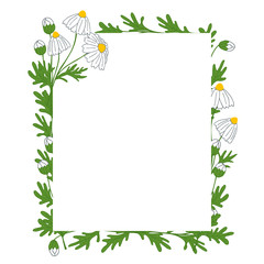 Floral frame with chamomile. Hand drawn vector illustration. Concept for postcard or invitation.