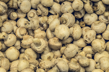 Natural champignon mushrooms in market. Top view.