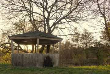 old gazebo in the forest