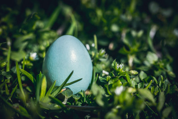 Spring Green Garden and Easter Eggs