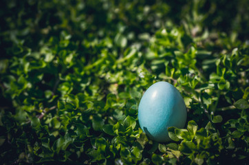 Spring Green Garden and Easter Eggs