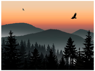 Landscape. Panorama of mountains. Sunset. Mist. Flying eagles.