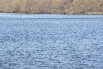 view of the river in the park