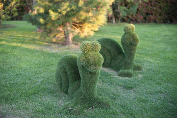 snails from the bushes