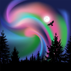 Fototapeta na wymiar Silhouette of coniferous trees on the background of colorful sky. Flying eagle. Northern lights.