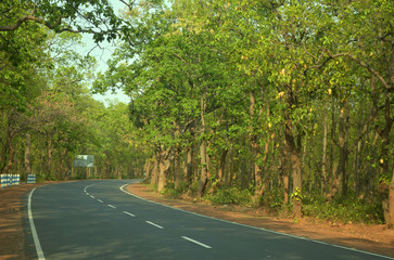beautiful development of highway road in forest in birbhum