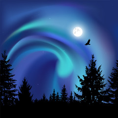 Fototapeta na wymiar Silhouette of coniferous trees on the background of colorful sky. Flying eagle. Night. Moonlight. Blue northern lights.