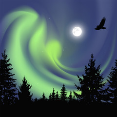 Fototapeta na wymiar Silhouette of coniferous trees on the background of colorful sky. Flying eagle. Night. Moonlight. Green northern lights