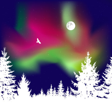 Abstract white silhouette of coniferous trees on the background of colorful sky.  Flying eagle. Moonlight. Green and red northern lights.