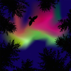 Obraz na płótnie Canvas Silhouette of coniferous trees on the background of colorful sky. Eagle in the sky. Pink and green northern lights. View from below.