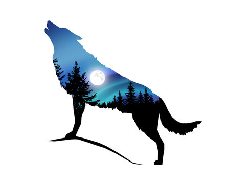 Silhouette of howling wolf with coniferous trees on the background of colorful sky. Moonlight.