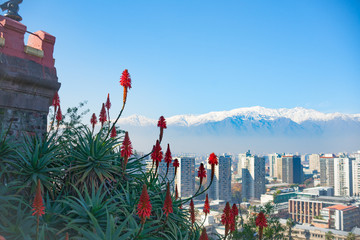 Modern urban skyline of Santiago Chile from high point of view of San Cristobal Hill  overlooking...
