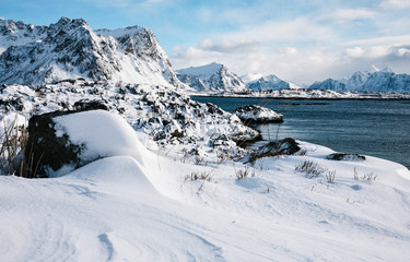 Fototapeta na wymiar Coast of Lofoten Archipelago in the Arctic Circle in Norway