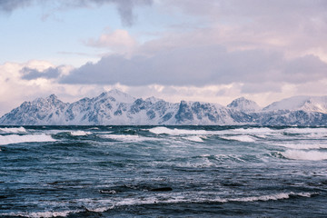 Coast of Lofoten Archipelago in the Arctic Circle in Norway