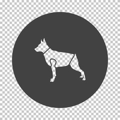 Dog cloth icon