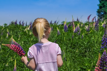 Kleines Mädchen pflückt frische Blumen auf einer wilden Blumenwiese