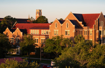 A distant view of The University of Florida in the morning