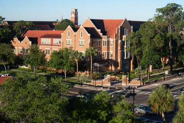 A distant view of The University of Florida in the morning