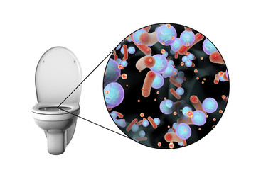 Toilet microbes, conceptual 3D illustration. Transmission of diarrheal infections. Bacteria transmitted by fecal-oral mechanism, such as Escherichia coli, Salmonella, Shigella and other
