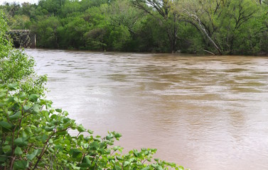 River, Greenery, and Bridge