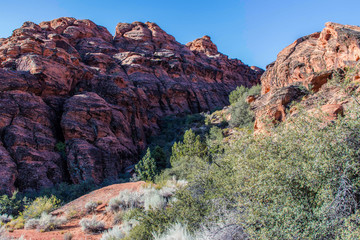 Hiking trail in Snow Canyon State Park Utah