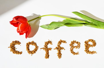Granulated instant coffee in a shape of text  with a tulip on a white background,photo
