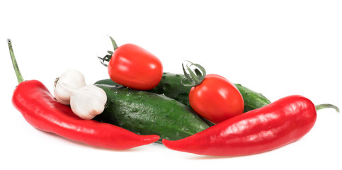 .peppers, tomatoes, cucumbers and garlic on a white background