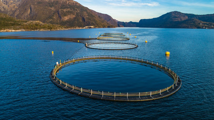 Salmon fish farm. Hordaland, Norway.