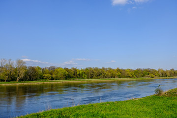 River elbe with blue sky trees and grass