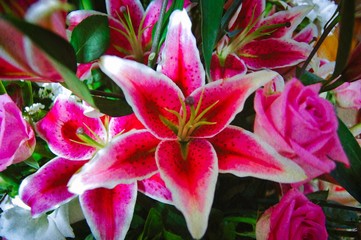 Vibrant pink lily as part of bridal bouquet