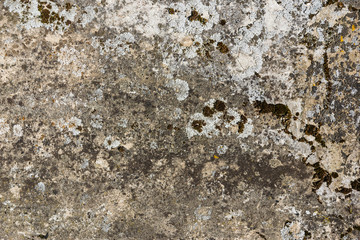 texture of very old stone with moss