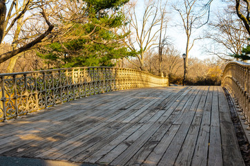 Empty Pedestrian bridge with planks and wrought iron Railings in a Park on a Sunny Winter Morning. Central Park, New York.