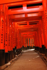 torii in kyoto
