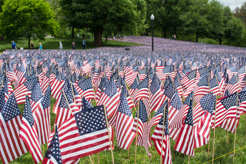 A field of American Flags