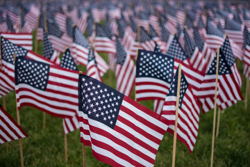 A field of American Flags