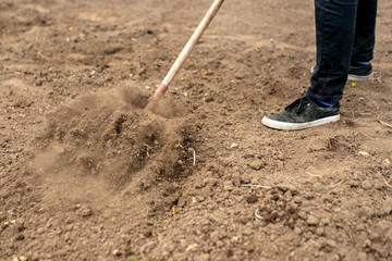 gardener plow wet soil with a rake b