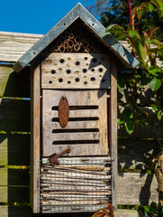 Verwittertes Insektenhotel an einem hölzernen Gartenzaun, an dem eine Rose rankt