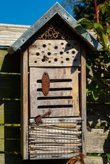 Wildbiene an einem verwitterten Insektenhotel im Frühling