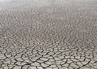 Aveiro Saline - Portugal